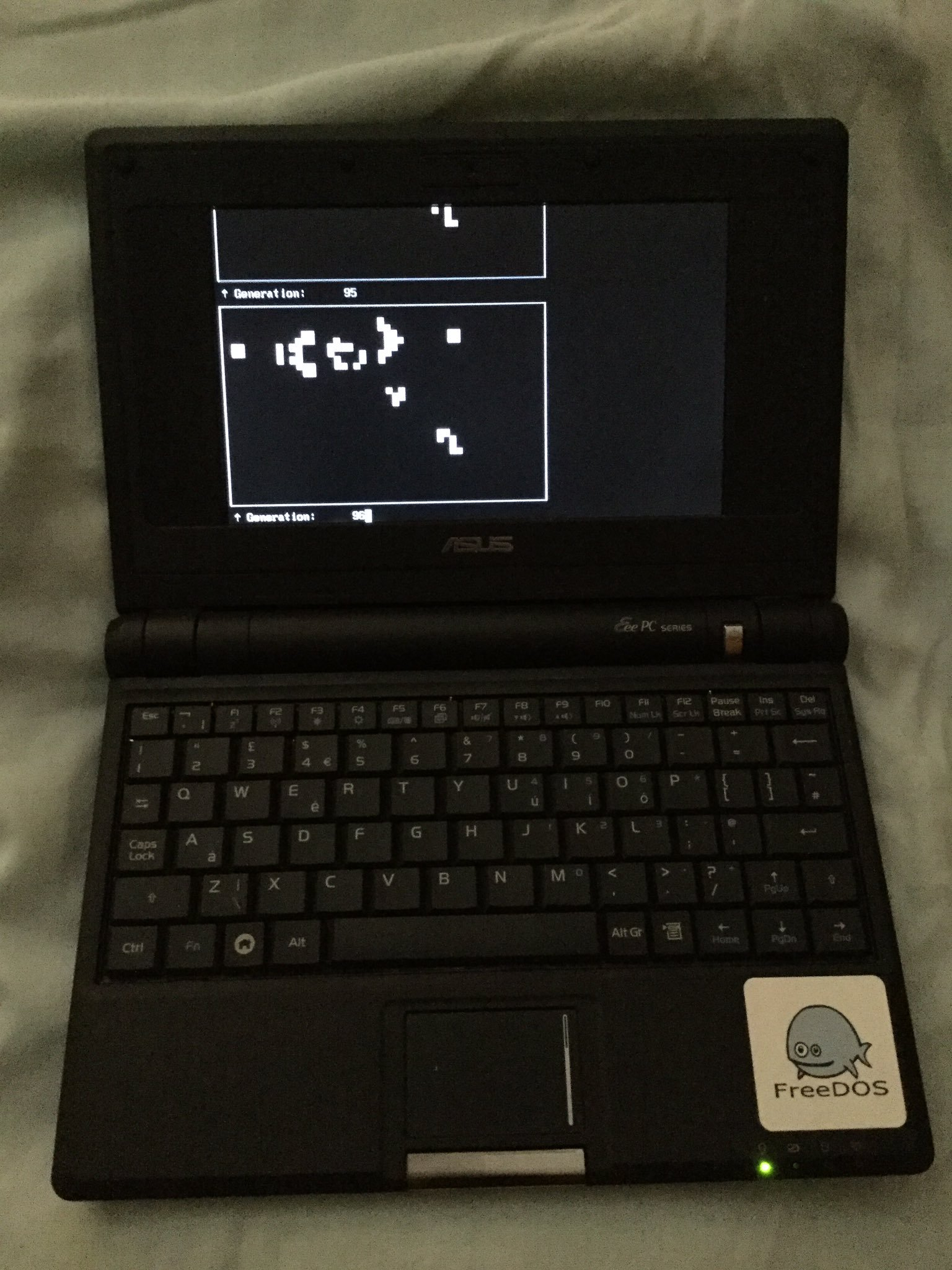 My implementation of Conway's Game of Life on FreeDOS with Codepage 437 graphics